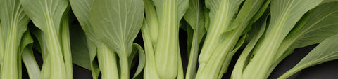 Pac Choi and Choi Sum Seeds