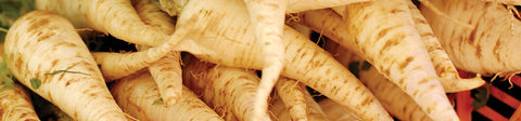 Parsnip Seeds