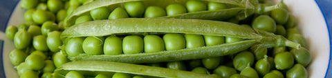 Pea Seeds