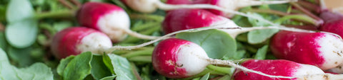 Radish Seeds