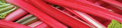 Rhubarb Rhizomes