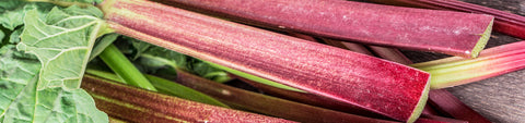 Rhubarb Seeds