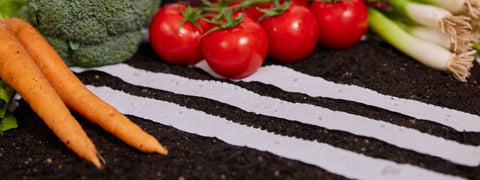 Seed Tape