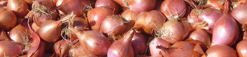 Shallot Seeds