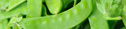 Snow Pea Seeds