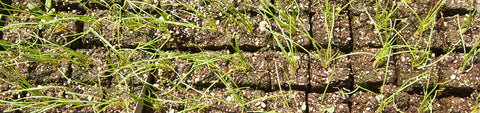 Soil Blockers