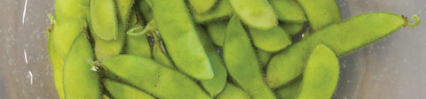 Soya Bean Seeds