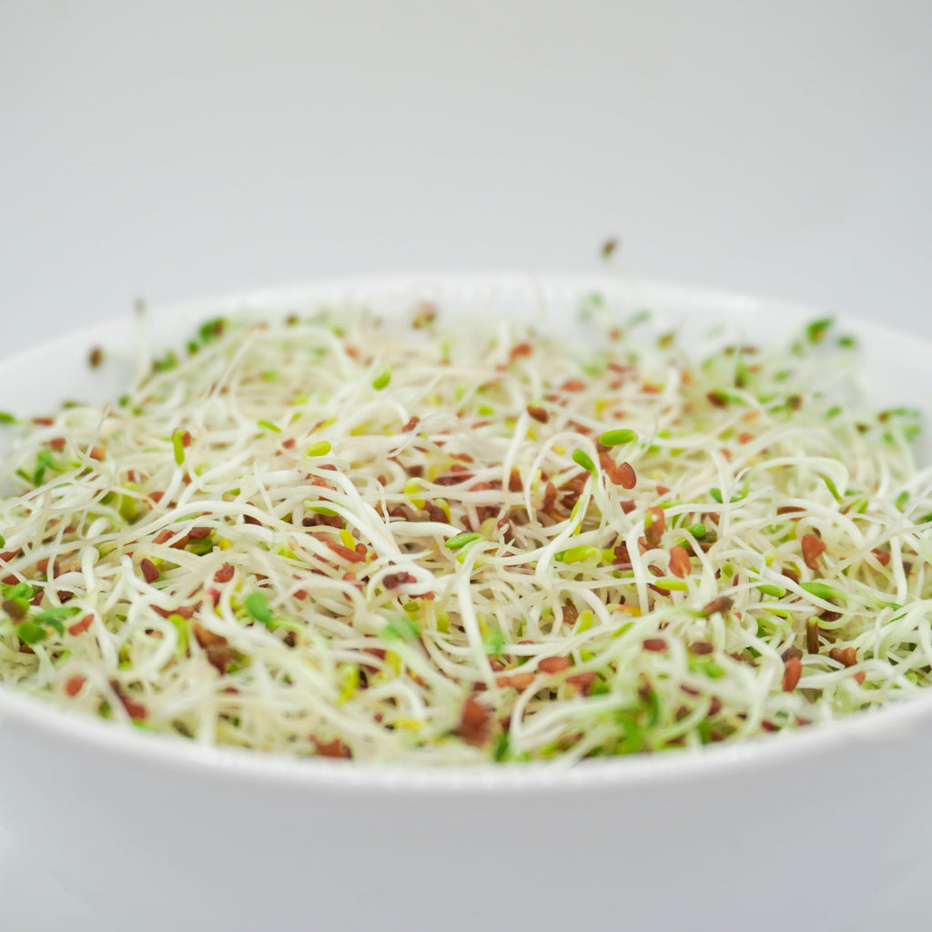 Sprouting – West Coast Seeds