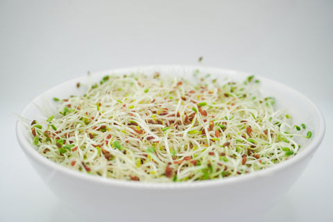 Sprouting