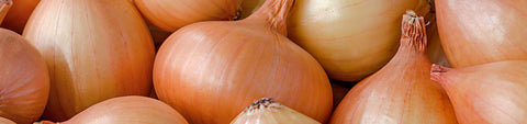 Storage Onion Seeds