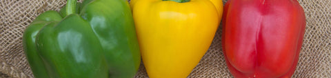 Sweet Pepper Seeds