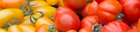 Tomato Seeds