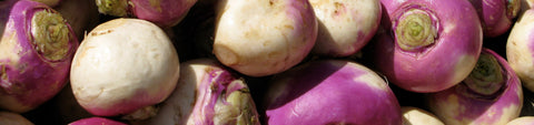 Turnip Seeds