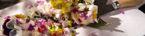 Edible Flower Collection