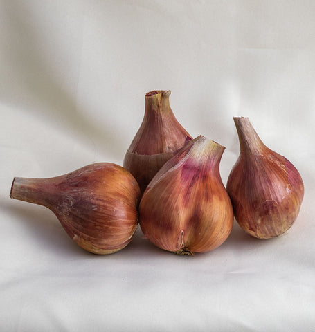 Root Vegetables
