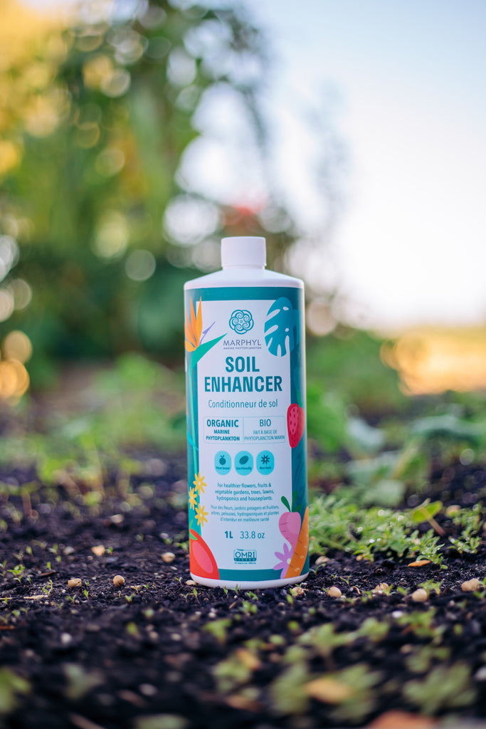 MARPHYL Organic Soil Enhancer – West Coast Seeds