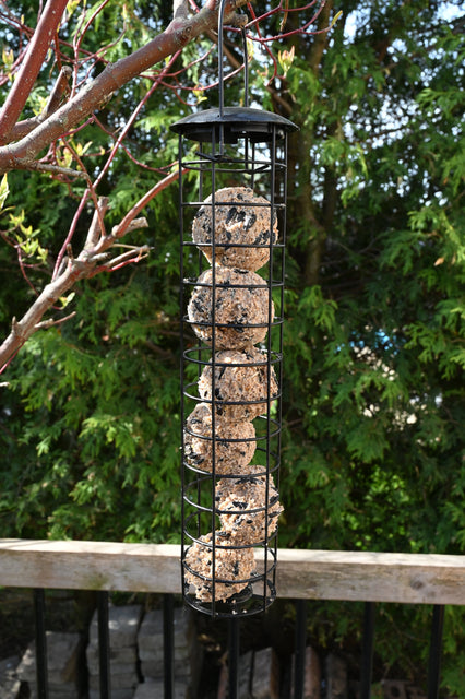 Suet Ball Feeder - Tall 37 cm 10362