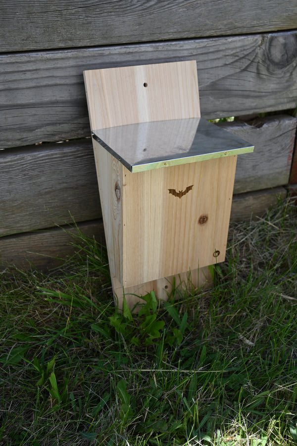 Bat Box