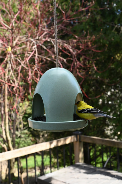 Eco Dome Bird Feeder - Green