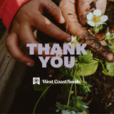 Electronic Gift Card