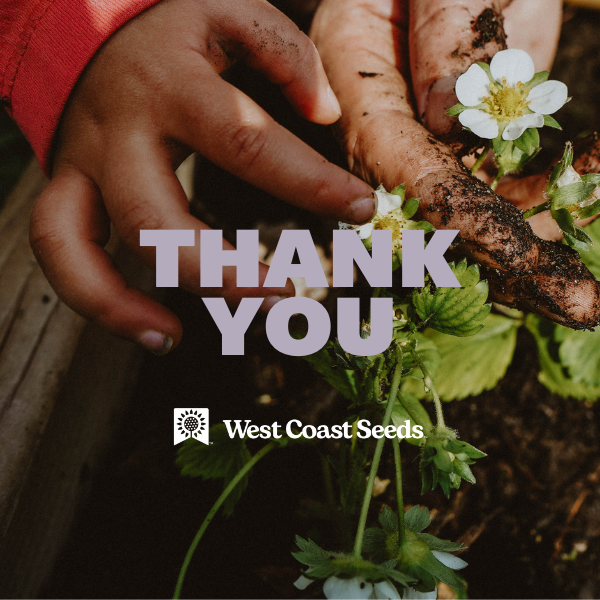 Electronic Gift Card