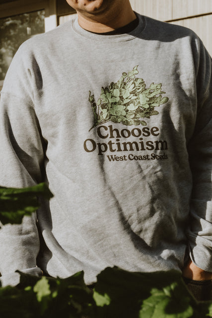 choose optimism sweatshirt west coast seeds