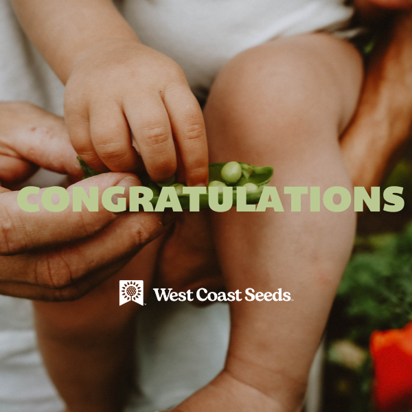 Electronic Gift Card