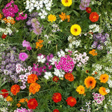 Fragrant Flower Blend