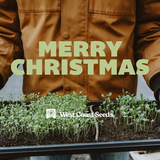 Electronic Gift Card