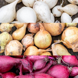Onion Mix