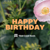 Electronic Gift Card