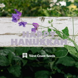 Electronic Gift Card