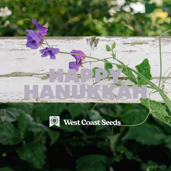 Electronic Gift Card