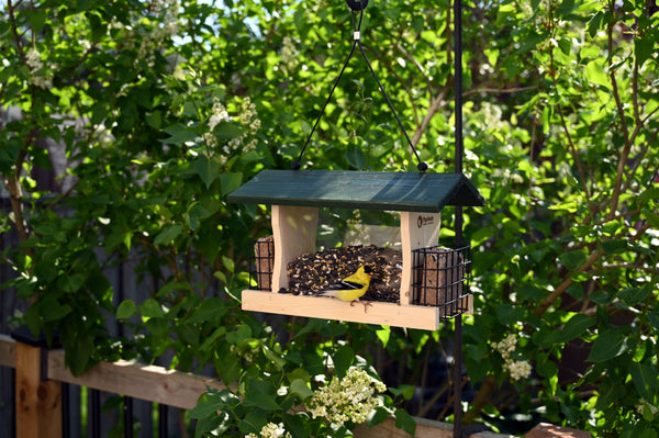 Hopper Feeder w/Suet Cages