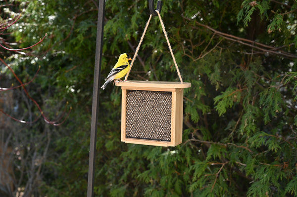 Bamboo Mesh Bird Feeder