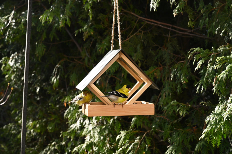 Bamboo Terrace Bird Feeder