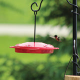 Tray Hummingbird Feeder