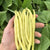 Gold Rush Certified Organic