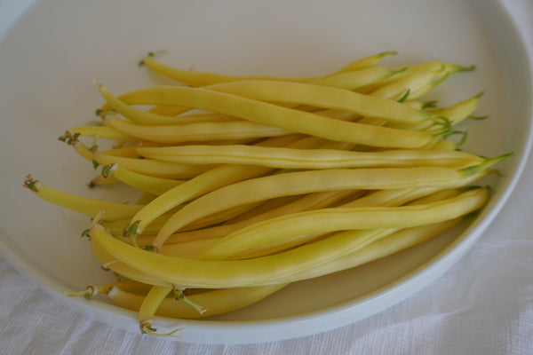 Gold Rush Certified Organic