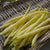 Gold Rush Certified Organic