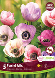 Anemone Carmel Pastel Mix 5pk