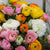 Ranunculus Mixed 5/pk