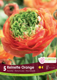 Ranunculus Reinette Orange 5pk