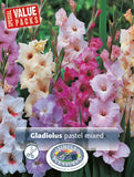 Gladiolus Pastel Mix 30pk