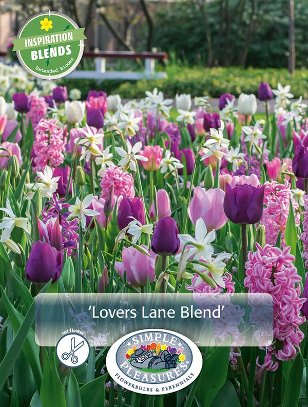 Mix Lovers Lane 10/pk