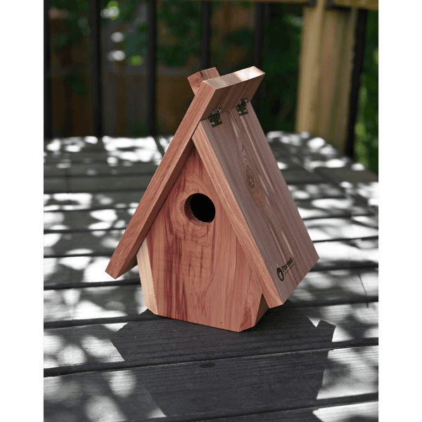 Backyard Nesting Box