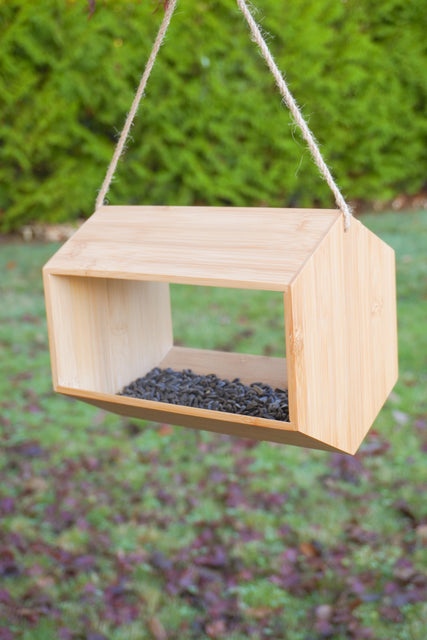 Bamboo Fly In Bird Feeder