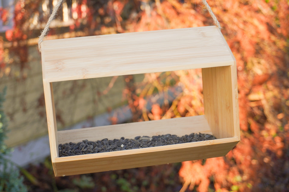 Bamboo Fly In Bird Feeder