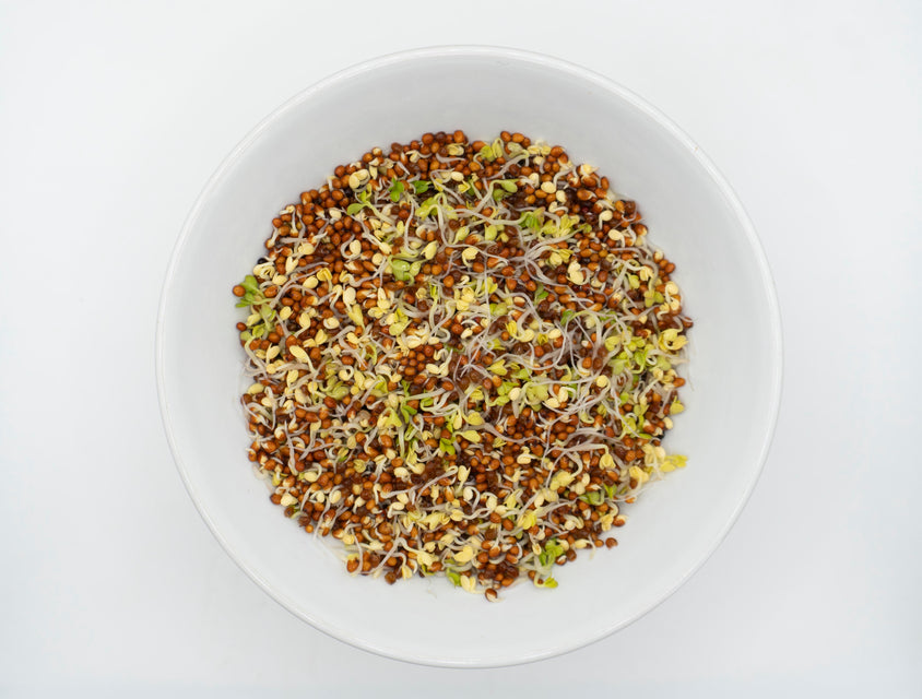 Brown Mustard Organic