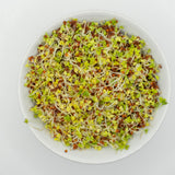 Brown Mustard Organic